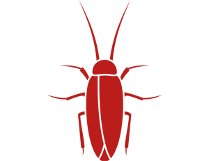 icono cucaracha